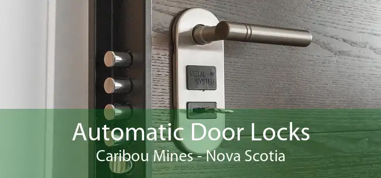 Automatic Door Locks Caribou Mines - Nova Scotia