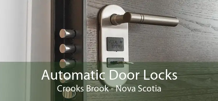 Automatic Door Locks Crooks Brook - Nova Scotia