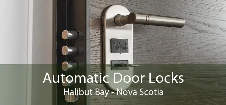 Automatic Door Locks Halibut Bay - Nova Scotia
