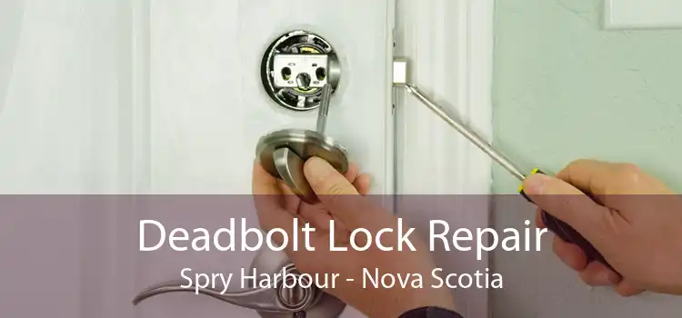 Deadbolt Lock Repair Spry Harbour - Nova Scotia