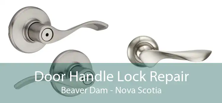 Door Handle Lock Repair Beaver Dam - Nova Scotia
