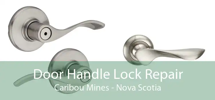 Door Handle Lock Repair Caribou Mines - Nova Scotia