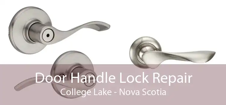 Door Handle Lock Repair College Lake - Nova Scotia
