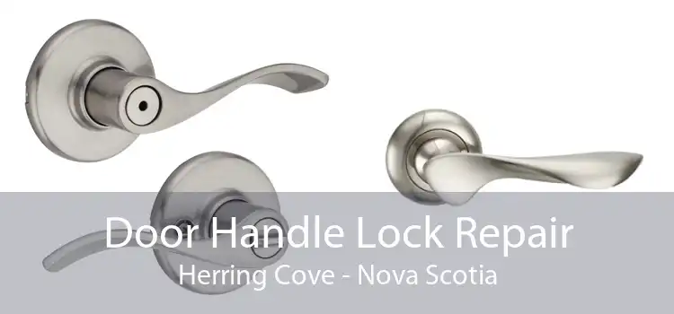 Door Handle Lock Repair Herring Cove - Nova Scotia