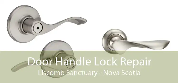 Door Handle Lock Repair Liscomb Sanctuary - Nova Scotia