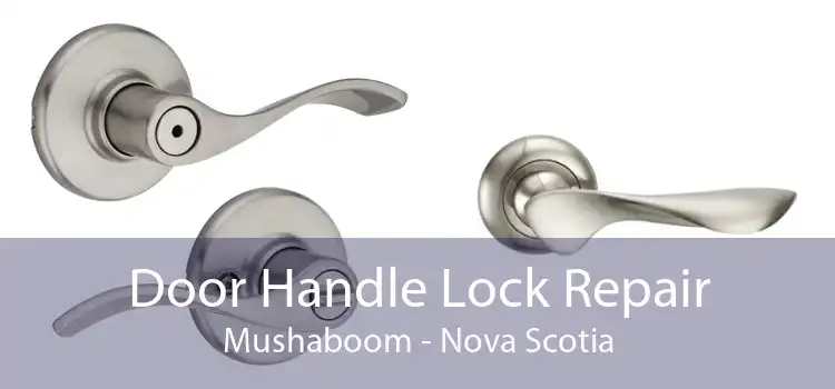 Door Handle Lock Repair Mushaboom - Nova Scotia
