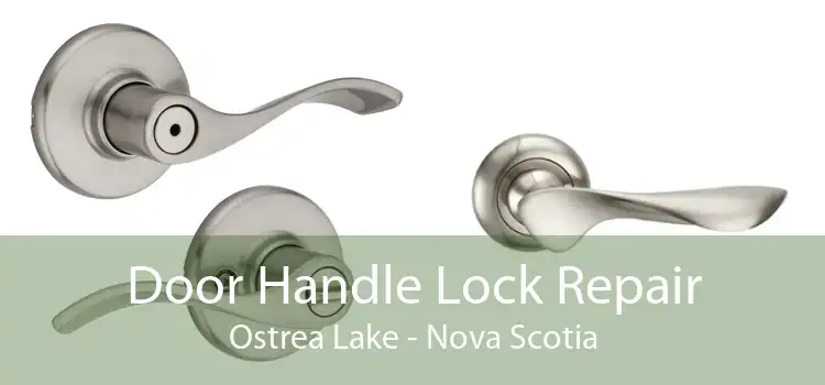Door Handle Lock Repair Ostrea Lake - Nova Scotia