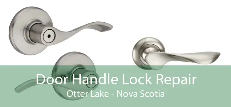 Door Handle Lock Repair Otter Lake - Nova Scotia