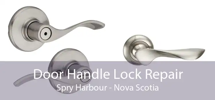 Door Handle Lock Repair Spry Harbour - Nova Scotia