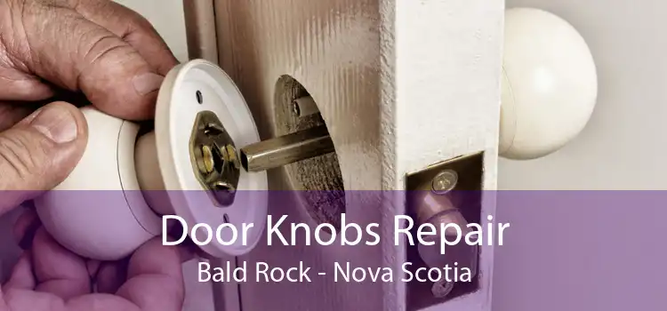 Door Knobs Repair Bald Rock - Nova Scotia