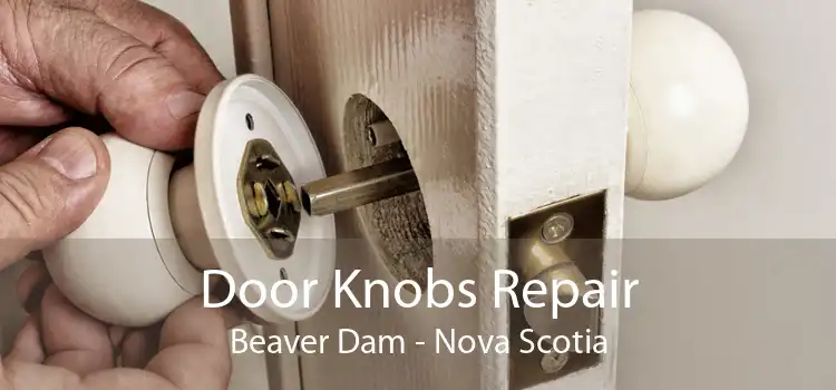 Door Knobs Repair Beaver Dam - Nova Scotia