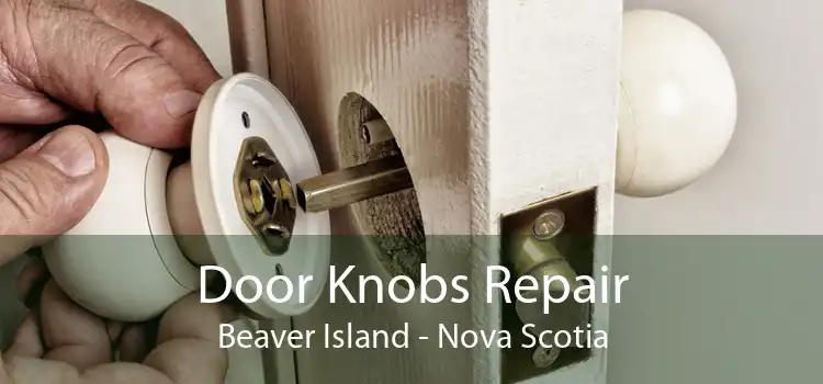 Door Knobs Repair Beaver Island - Nova Scotia