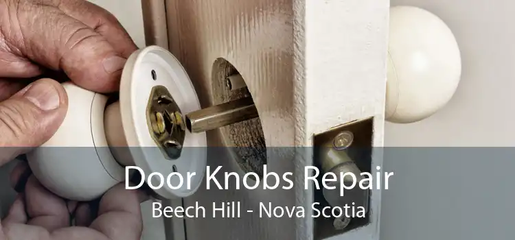 Door Knobs Repair Beech Hill - Nova Scotia