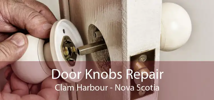 Door Knobs Repair Clam Harbour - Nova Scotia