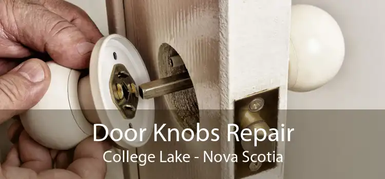 Door Knobs Repair College Lake - Nova Scotia