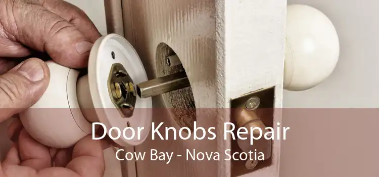 Door Knobs Repair Cow Bay - Nova Scotia