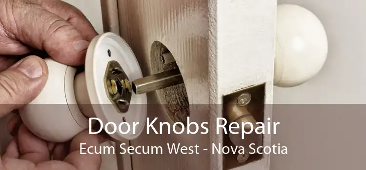 Door Knobs Repair Ecum Secum West - Nova Scotia