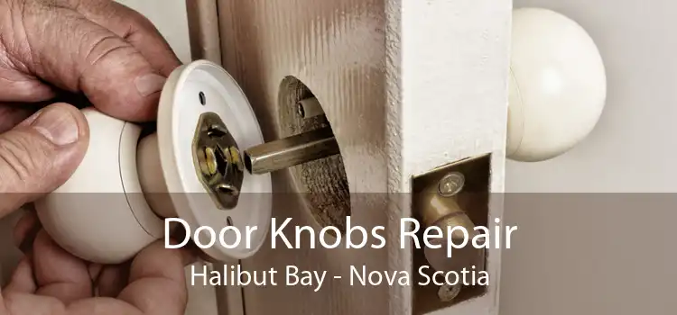 Door Knobs Repair Halibut Bay - Nova Scotia