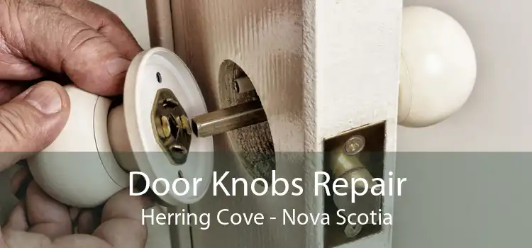 Door Knobs Repair Herring Cove - Nova Scotia
