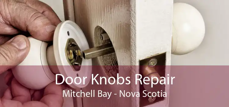 Door Knobs Repair Mitchell Bay - Nova Scotia