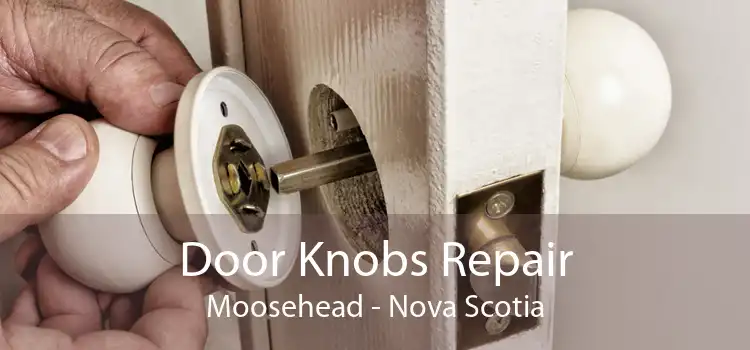 Door Knobs Repair Moosehead - Nova Scotia
