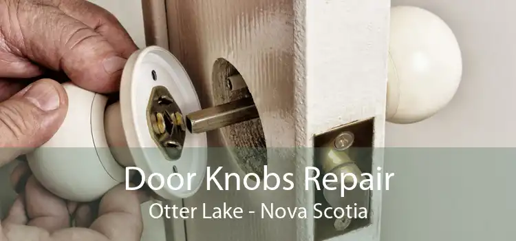 Door Knobs Repair Otter Lake - Nova Scotia