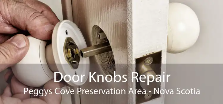 Door Knobs Repair Peggys Cove Preservation Area - Nova Scotia