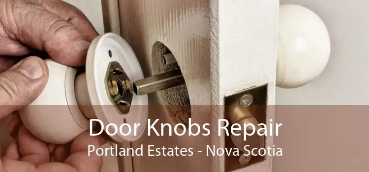 Door Knobs Repair Portland Estates - Nova Scotia