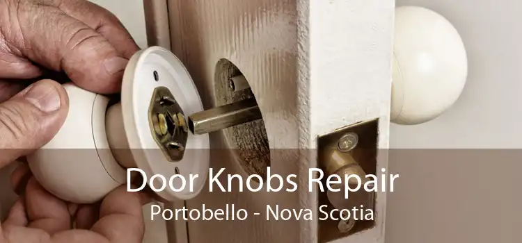 Door Knobs Repair Portobello - Nova Scotia