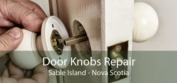 Door Knobs Repair Sable Island - Nova Scotia