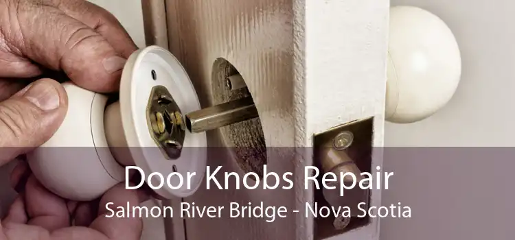 Door Knobs Repair Salmon River Bridge - Nova Scotia