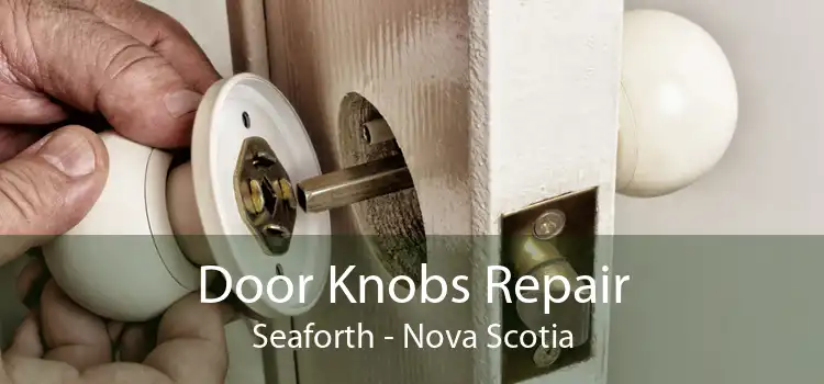 Door Knobs Repair Seaforth - Nova Scotia
