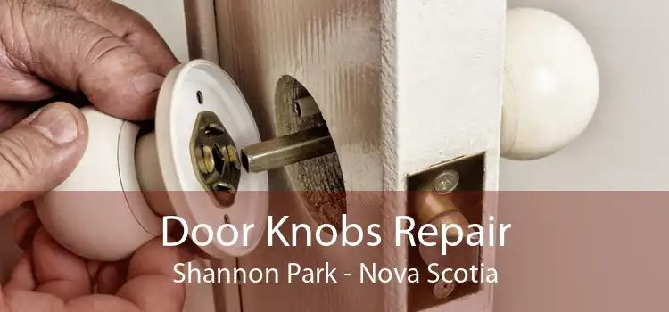Door Knobs Repair Shannon Park - Nova Scotia