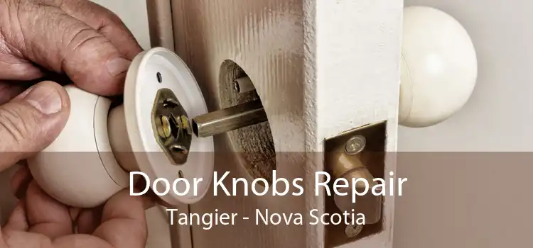 Door Knobs Repair Tangier - Nova Scotia