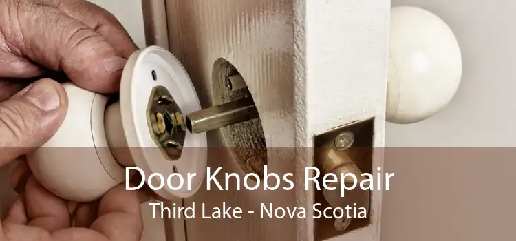 Door Knobs Repair Third Lake - Nova Scotia