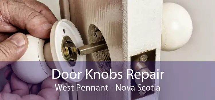 Door Knobs Repair West Pennant - Nova Scotia