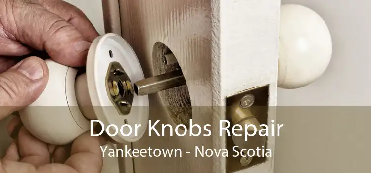 Door Knobs Repair Yankeetown - Nova Scotia