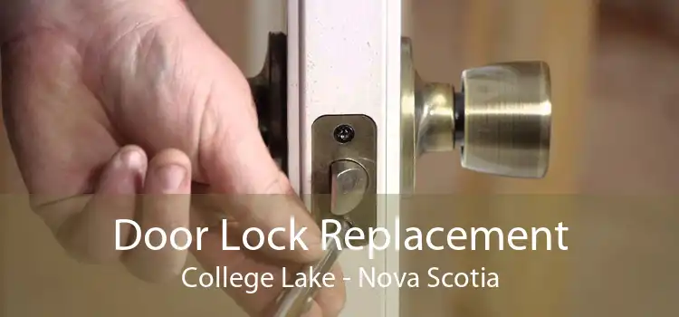 Door Lock Replacement College Lake - Nova Scotia