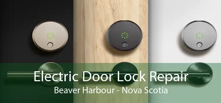 Electric Door Lock Repair Beaver Harbour - Nova Scotia