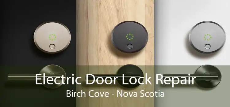 Electric Door Lock Repair Birch Cove - Nova Scotia