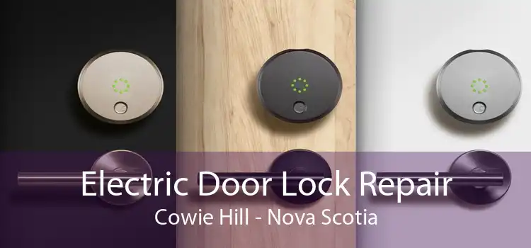 Electric Door Lock Repair Cowie Hill - Nova Scotia