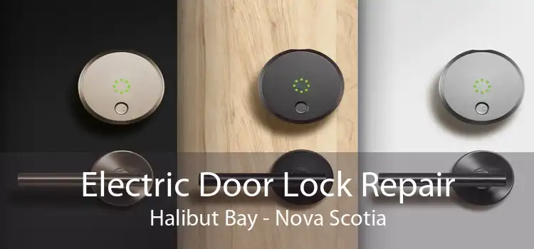 Electric Door Lock Repair Halibut Bay - Nova Scotia