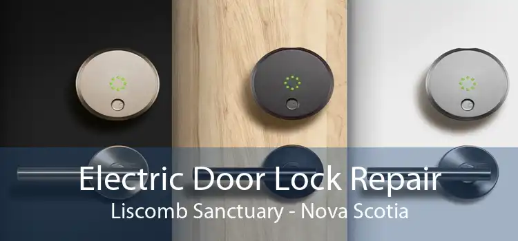 Electric Door Lock Repair Liscomb Sanctuary - Nova Scotia