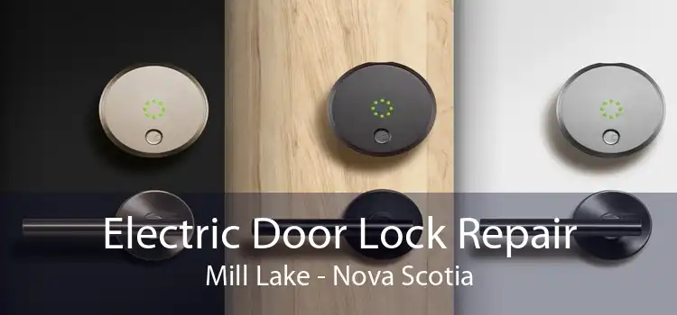 Electric Door Lock Repair Mill Lake - Nova Scotia