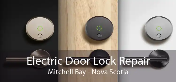 Electric Door Lock Repair Mitchell Bay - Nova Scotia