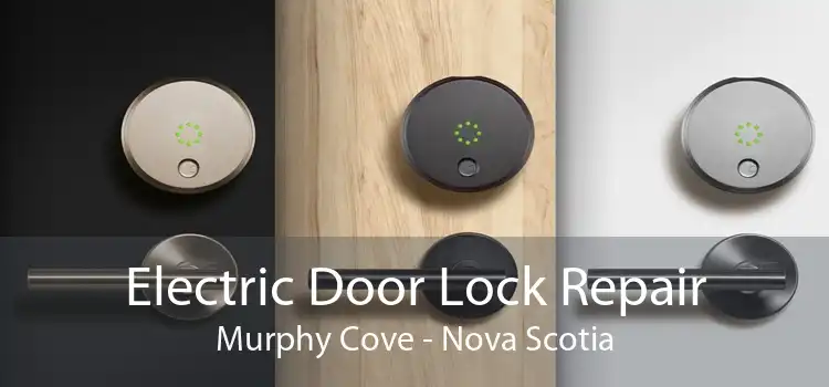 Electric Door Lock Repair Murphy Cove - Nova Scotia