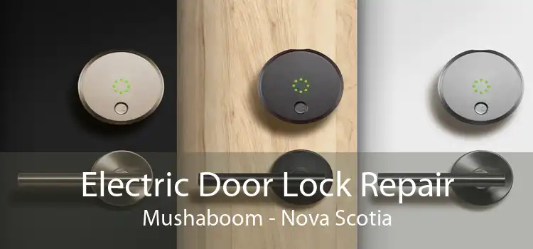 Electric Door Lock Repair Mushaboom - Nova Scotia