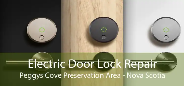 Electric Door Lock Repair Peggys Cove Preservation Area - Nova Scotia