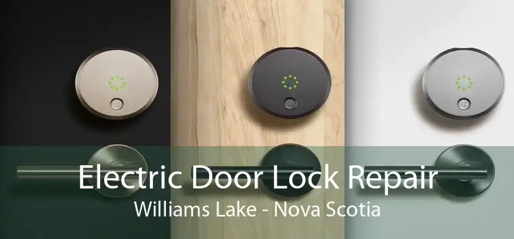 Electric Door Lock Repair Williams Lake - Nova Scotia