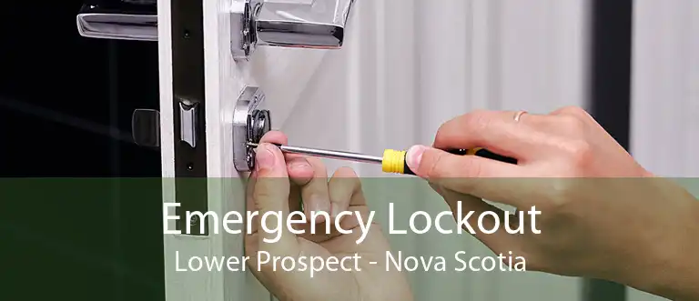 Emergency Lockout Lower Prospect - Nova Scotia